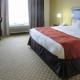 Quality Inn & Suites Alexandria, Alexandria (photo 2)