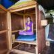 Yolitia Wellness, Malinalco (Foto 4)