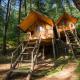 LivingStone Ojuven Treehouses, 西姆拉 - 照片 1