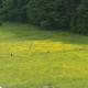 Pensiunea Poiana Soarelui, Brateş - 写真 2