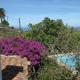 Casa Ruth, Los Llanos de Aridane (foto 5)