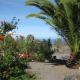 Casa Ruth, Los Llanos de Aridane (foto 6)