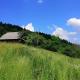 Cottage Svitanok, Lopushnoye