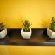 RHK guest house, Tokio - Fotografie 10