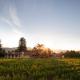 Napa Valley Lodge, Yountville (fotografie 2)
