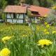 Biohof Schad, Eisenbach - Fotografie 10