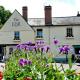 The Fox by Greene King Inns, Bury St Edmunds - Fotografie 5