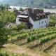 Weingut & Gästezimmer Pammer, Mitterarnsdorf