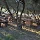 Apartment Dario, Vodice (photo 9)