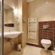 Elizabeth Hotel, Gyula (photo 9)