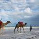 Neptune Village Beach Resort & Spa - All Inclusive, Galu - 写真 4