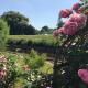 Deichschatz, Mittelnkirchen - 写真 4