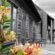 Elm Tree Farm Accommodation, Milton Keynes (fotografie 6)