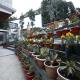 Sikkim Tourist Centre, Pelling - Φωτογραφία 7