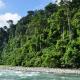 Garden Inn, Bukit Lawang (foto 6)