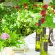 Holiday House with Seaview, Senj (photo 9)