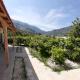 Apartments Dakovic, Kotor (photo 6)