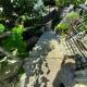 Apartments Dakovic, Kotor (photo 7)