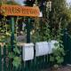 Zingst Haus Hugo, Zingst - Photo 3
