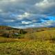 Walnut Run Farm, Woodville (fotografie 5)