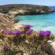 Camere a Sud - Lampedusa, Lampedusa (photo 5)