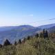 Vamoose Laliguras, Sukhia Pokhari - 写真 7