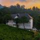 Tea Harvester, Munnar - Photo 5