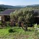 Kokopelli farm, Magaliesburg (zdjęcie 7)