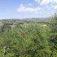 Poggio del Gallo, Chiaramonte Gulfi (fotografie 8)