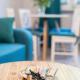 Apartament uJasia, Słupsk (fotografie 8)