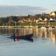 Skylark Killaloe - Foto 10