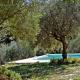 Le Rayol, Seillans (photo 6)