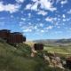 Encuentro Guadalupe, Valle de Guadalupe (zdjęcie 2)
