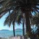La Rosa, Ameglia - Foto 9