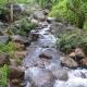 Stream Garden Mountain Resort, Kalpatta - Foto 4