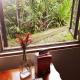 Cecropia Ecolodge, Фортуна - Фото 4