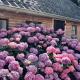 Onder de Appelboom, Garminge (foto 3)