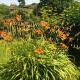 The Retreat, Pett (foto 4)