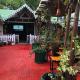 Roots Shoots & Beds Kalimpong - Fotografie 10