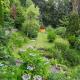 Ferienwohnung Hans, Lindenfels - 写真 1
