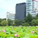 APA Hotel Keisei Ueno Ekimae, Tokio - Fotografie 9