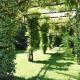 Venicegreen Agriresort, Tessera (fotografie 6)