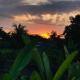 Padi guest house, Keramas (fotografie 6)