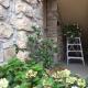 Da Agostino, la casa del latte, Costa di Mezzate (foto 6)