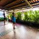 Bodhi Hostel & Lounge, Valle de Anton - Fotografie 7