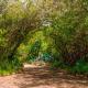 Kianderi Villa-Great Rift Valley Resort, Naivasha - Fotografie 9