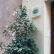 b&b sotto le torri, Albenga (foto 2)