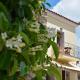 Rastoni Apartments, Andros - Zdjęcie 4