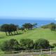 Penguins View Guesthouse, Simonʼs Town (photo 3)