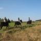 Świerkowe Rancho, Brzostek (foto 6)